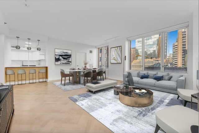 living room featuring light parquet flooring