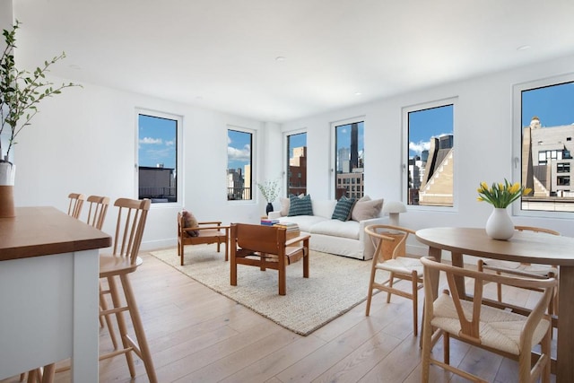 living room with light hardwood / wood-style flooring