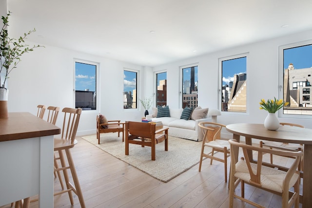 living area with a city view and light wood-type flooring