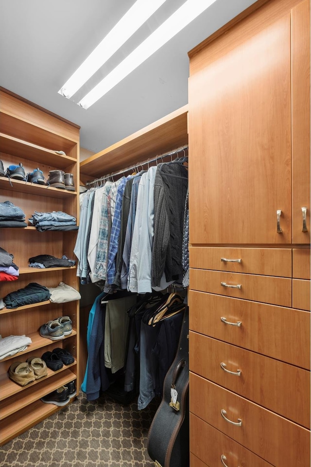 view of walk in closet