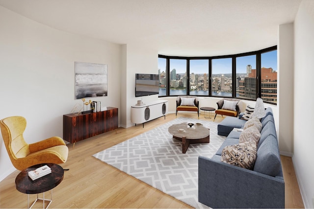 living area featuring baseboards and wood finished floors