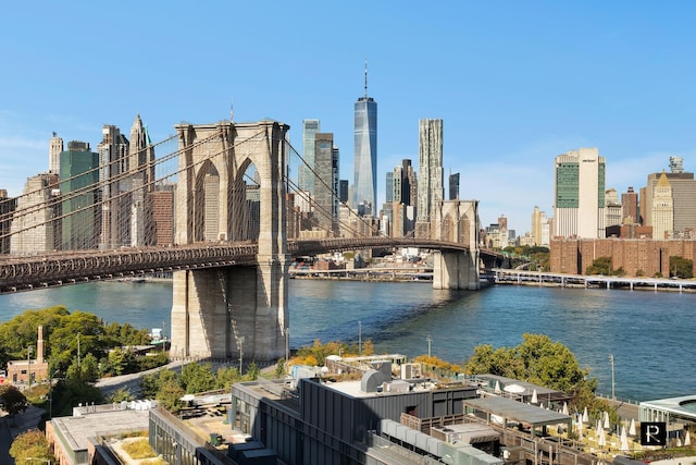 30 Main St Unit 11-G, New York City, NY 11201 - view of city skyline featuring a notable bridge and a nearby body of water