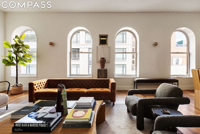 living room featuring hardwood / wood-style floors and a wealth of natural light