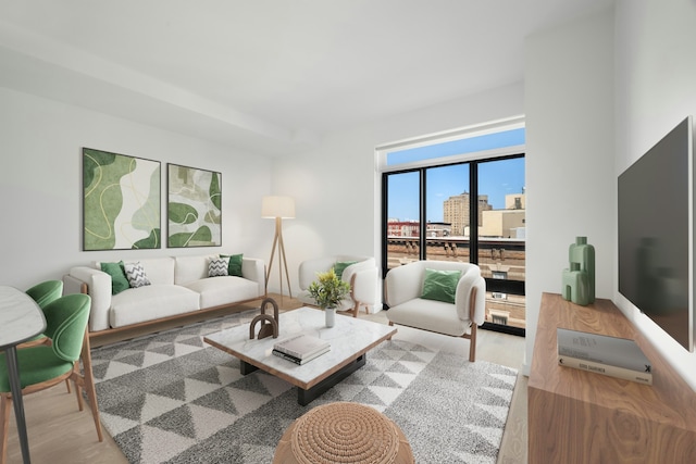 living room with wood finished floors