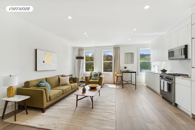 living room with light wood-type flooring