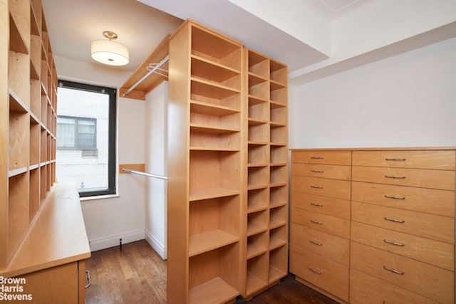 walk in closet with dark hardwood / wood-style flooring