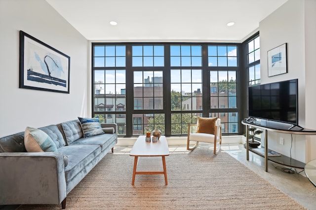 living room featuring expansive windows