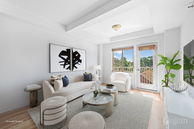 living room featuring a raised ceiling and light wood-type flooring