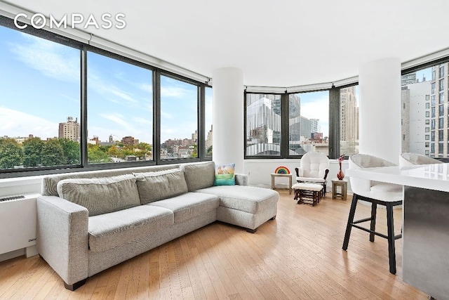 living room featuring radiator heating unit and light hardwood / wood-style flooring