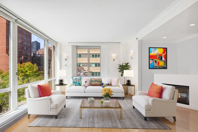 living area featuring ornamental molding, a healthy amount of sunlight, and a fireplace