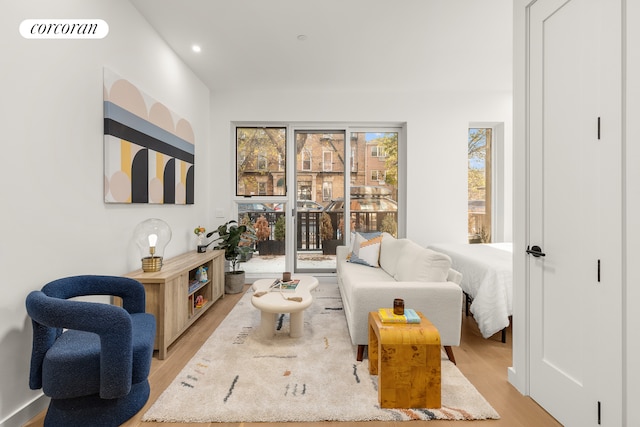 1607 Pacific St Unit 1A, New York City, NY 11213 - living area featuring light wood finished floors and recessed lighting