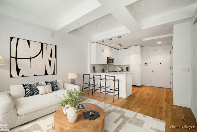 living room featuring sink and light hardwood / wood-style floors