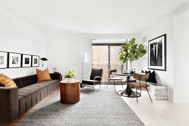 living room featuring wood-type flooring