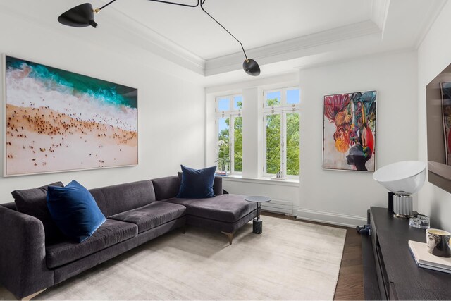 living room with wood finished floors, ornamental molding, a raised ceiling, and baseboards