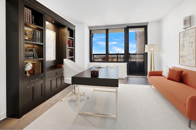 office featuring a wall of windows and wood finished floors