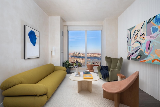 252 S St Unit 76E, New York City, NY 10002 - view of living area