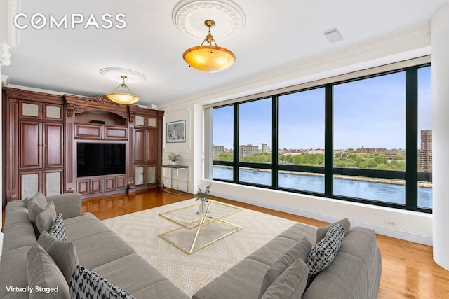 living room featuring hardwood / wood-style flooring and ornamental molding