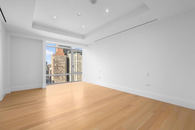 empty room featuring light hardwood / wood-style floors and a tray ceiling