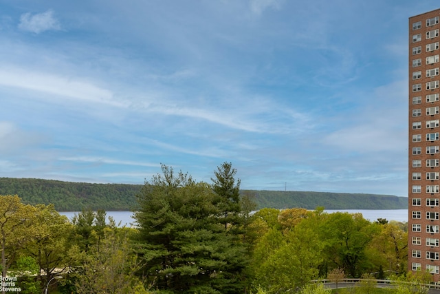 property view of water featuring a forest view