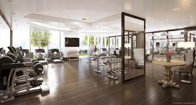 exercise room featuring expansive windows and dark wood-type flooring