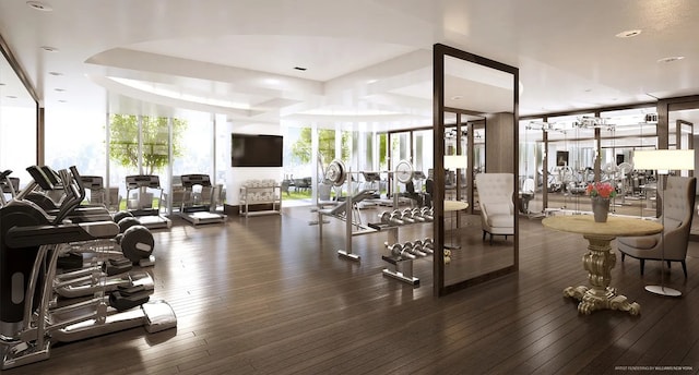 workout area with expansive windows and wood-type flooring