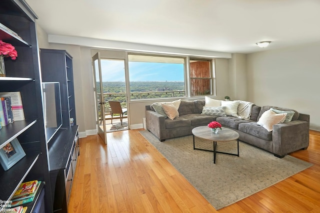 living room with hardwood / wood-style flooring