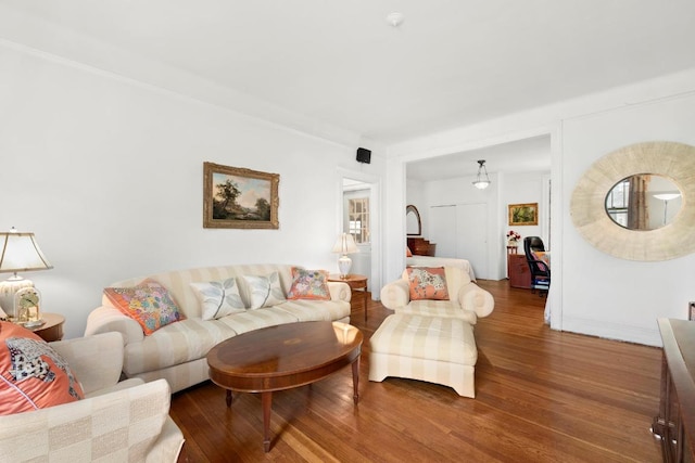 living room featuring dark wood-type flooring