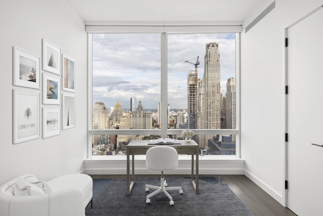 office area with dark hardwood / wood-style flooring and expansive windows