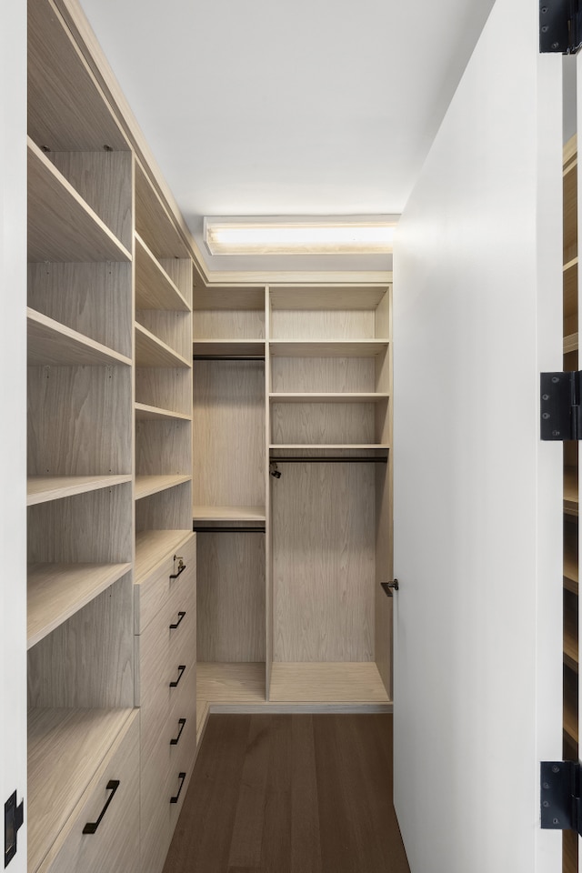 walk in closet featuring dark wood-style flooring