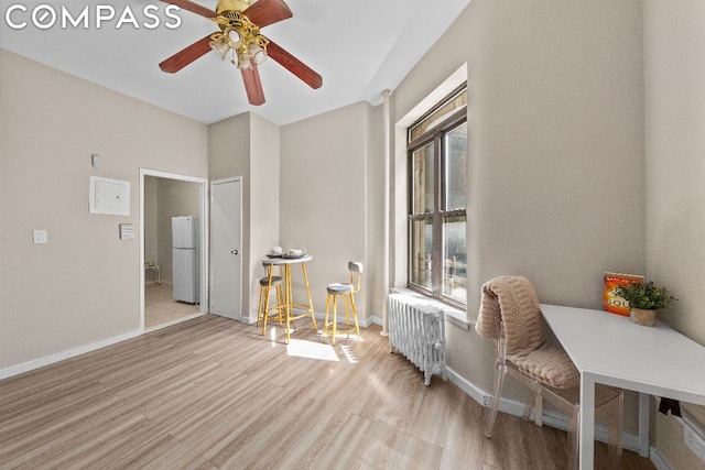 living area featuring a wealth of natural light, radiator heating unit, ceiling fan, and light wood-type flooring