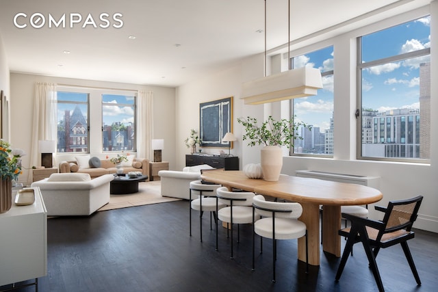 dining room featuring plenty of natural light, a view of city, and dark wood-type flooring