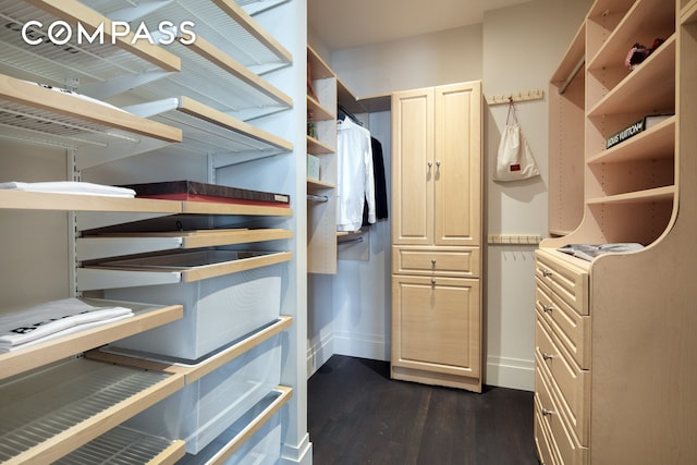 walk in closet with dark wood-style flooring