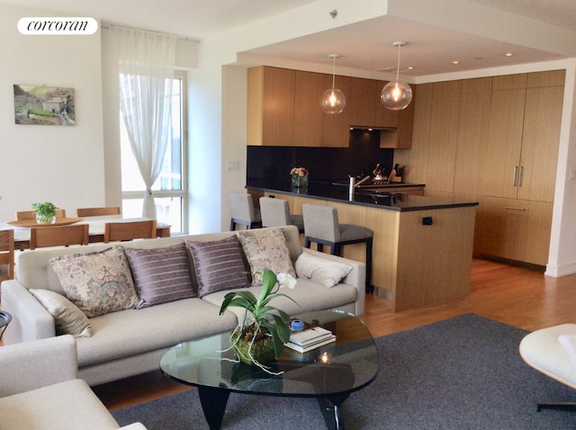 living room featuring wood-type flooring