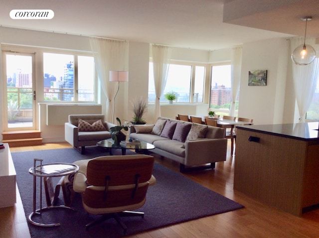 living room featuring hardwood / wood-style flooring