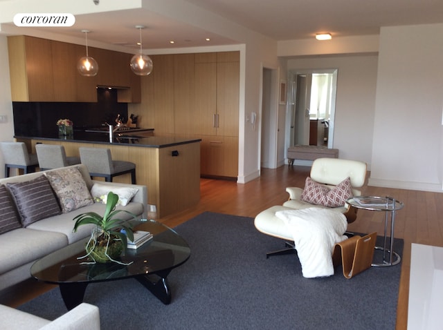 living room with dark hardwood / wood-style flooring