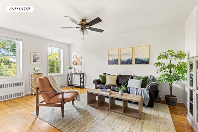 living room with ceiling fan, radiator heating unit, and light hardwood / wood-style flooring