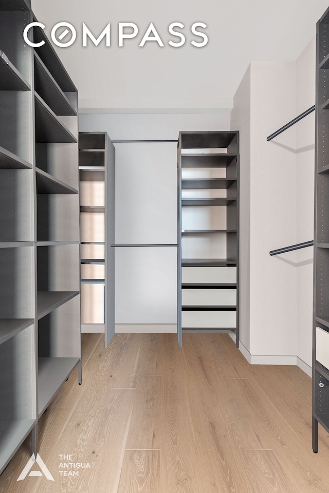 spacious closet featuring light wood-style floors