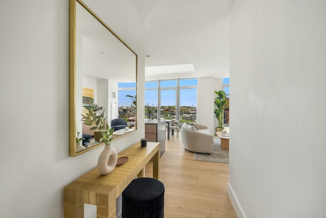 corridor featuring light hardwood / wood-style floors and expansive windows