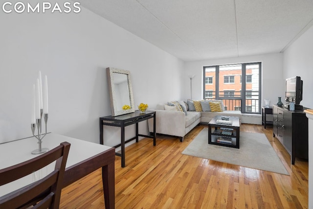 living room featuring a textured ceiling and light hardwood / wood-style flooring