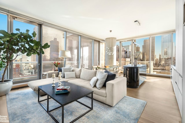 living room featuring floor to ceiling windows, a city view, plenty of natural light, and wood finished floors