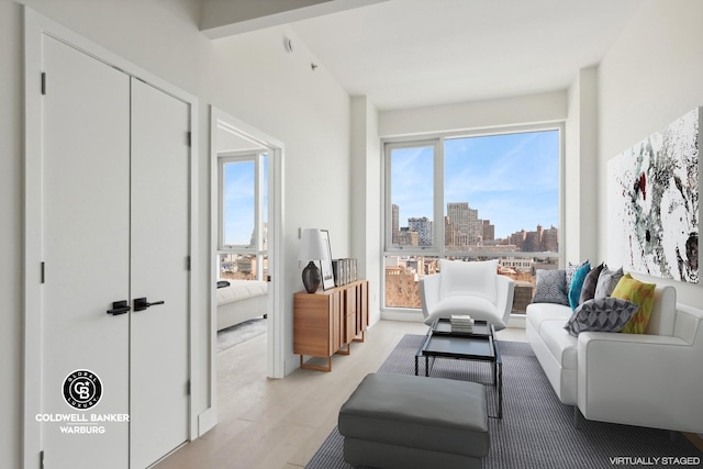 living room featuring light wood finished floors and a view of skyline