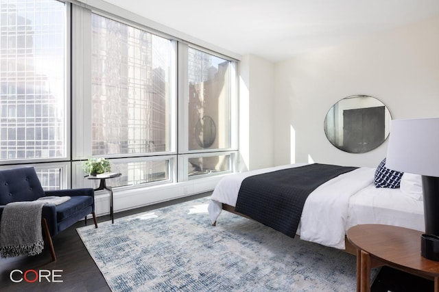 bedroom with dark hardwood / wood-style floors and multiple windows