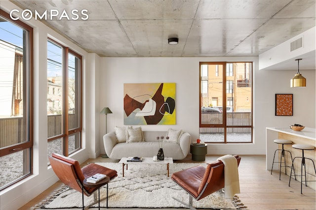 199 Conover St Unit Garden A, New York City, NY 11231 - living area with wood-type flooring and baseboards