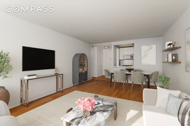 living room featuring wood finished floors