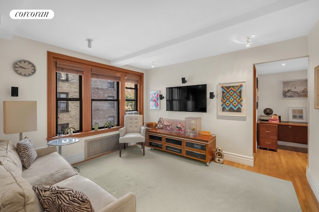 living room featuring light hardwood / wood-style flooring