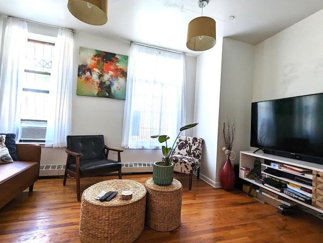 living area with wood finished floors