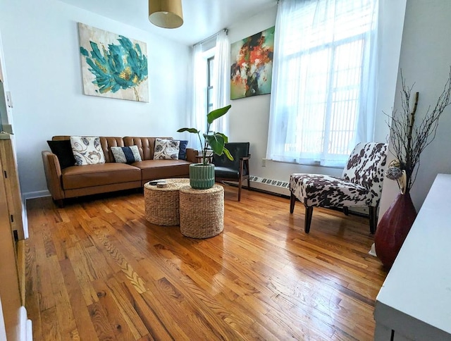 living room with wood-type flooring