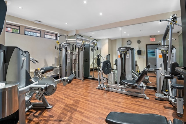 gym featuring light hardwood / wood-style floors