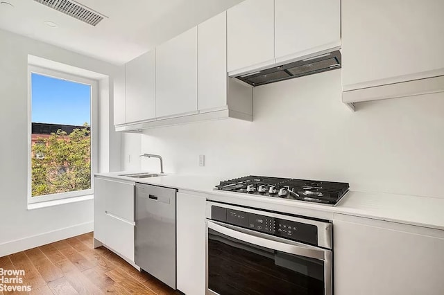 kitchen with light countertops, appliances with stainless steel finishes, a sink, and under cabinet range hood