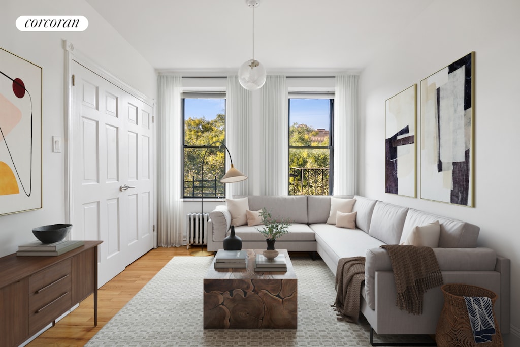 living room featuring radiator and light hardwood / wood-style flooring